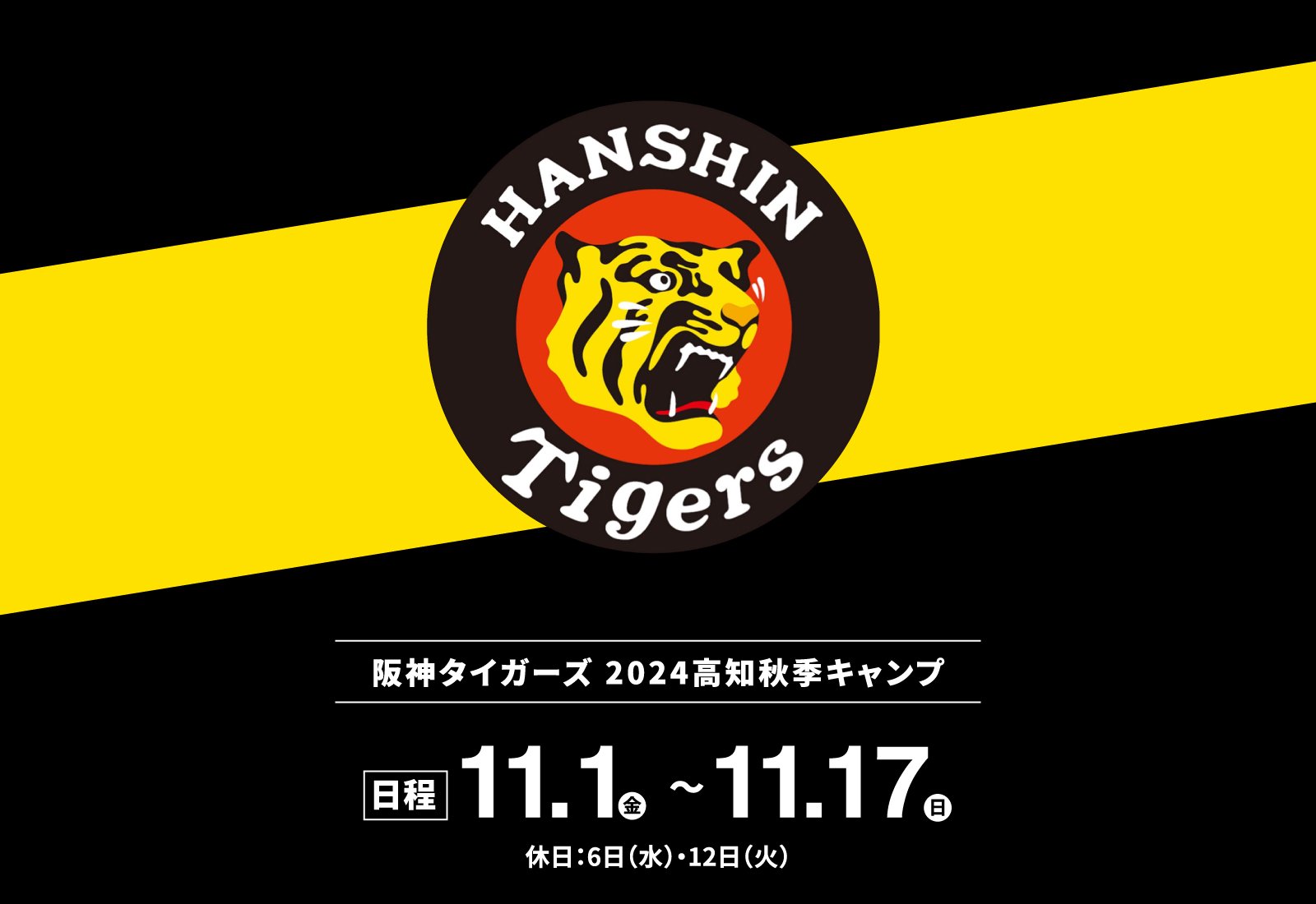 阪神タイガーズ 2024年 プロ野球秋季キャンプ