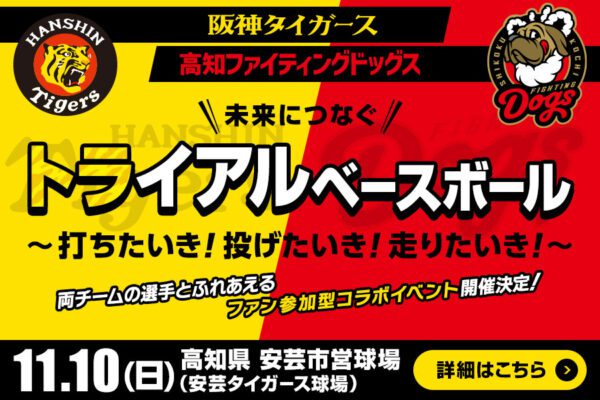 未来につなぐトライアルベースボール～打ちたいき！投げたいき！走りたいき！～　