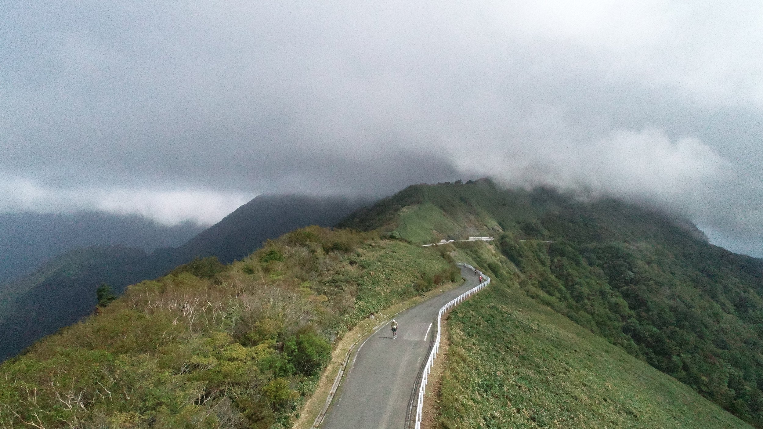 くまでの会　定款第４章　第１７条及び第２０条　外部理事被選任権売却 クシム・ZEDホールディングスに学ぶ会社法第467条の事業譲渡等問題