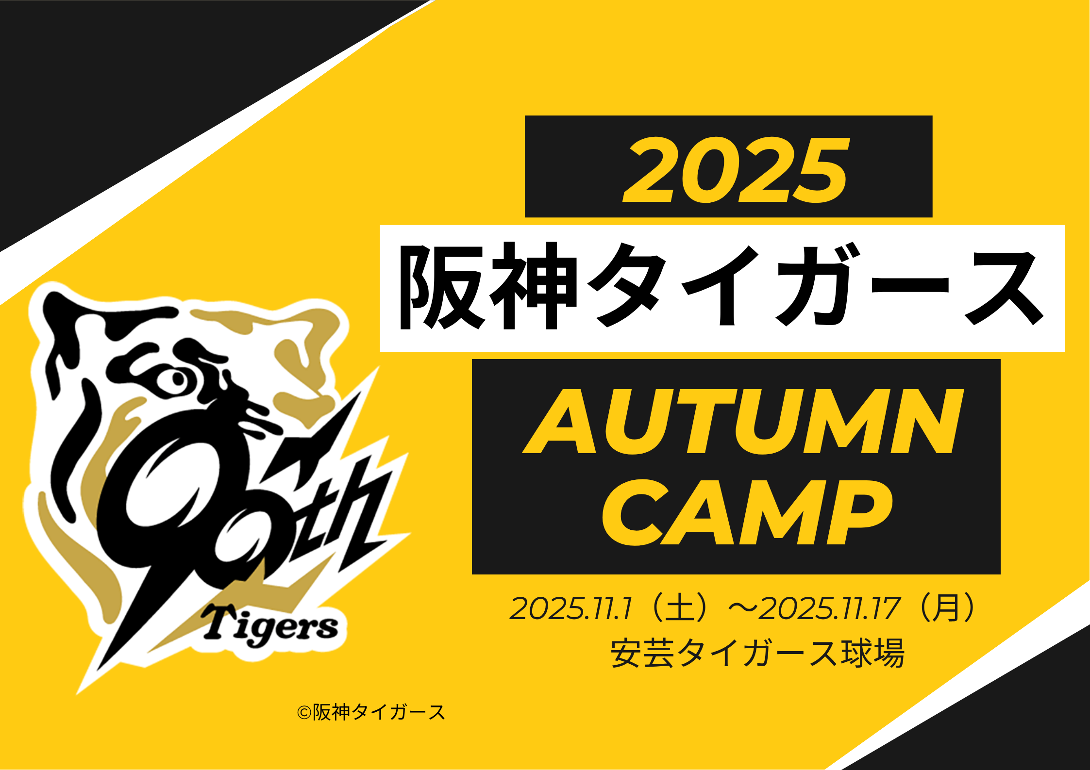 tigers-camp2025a_eyecatch.png