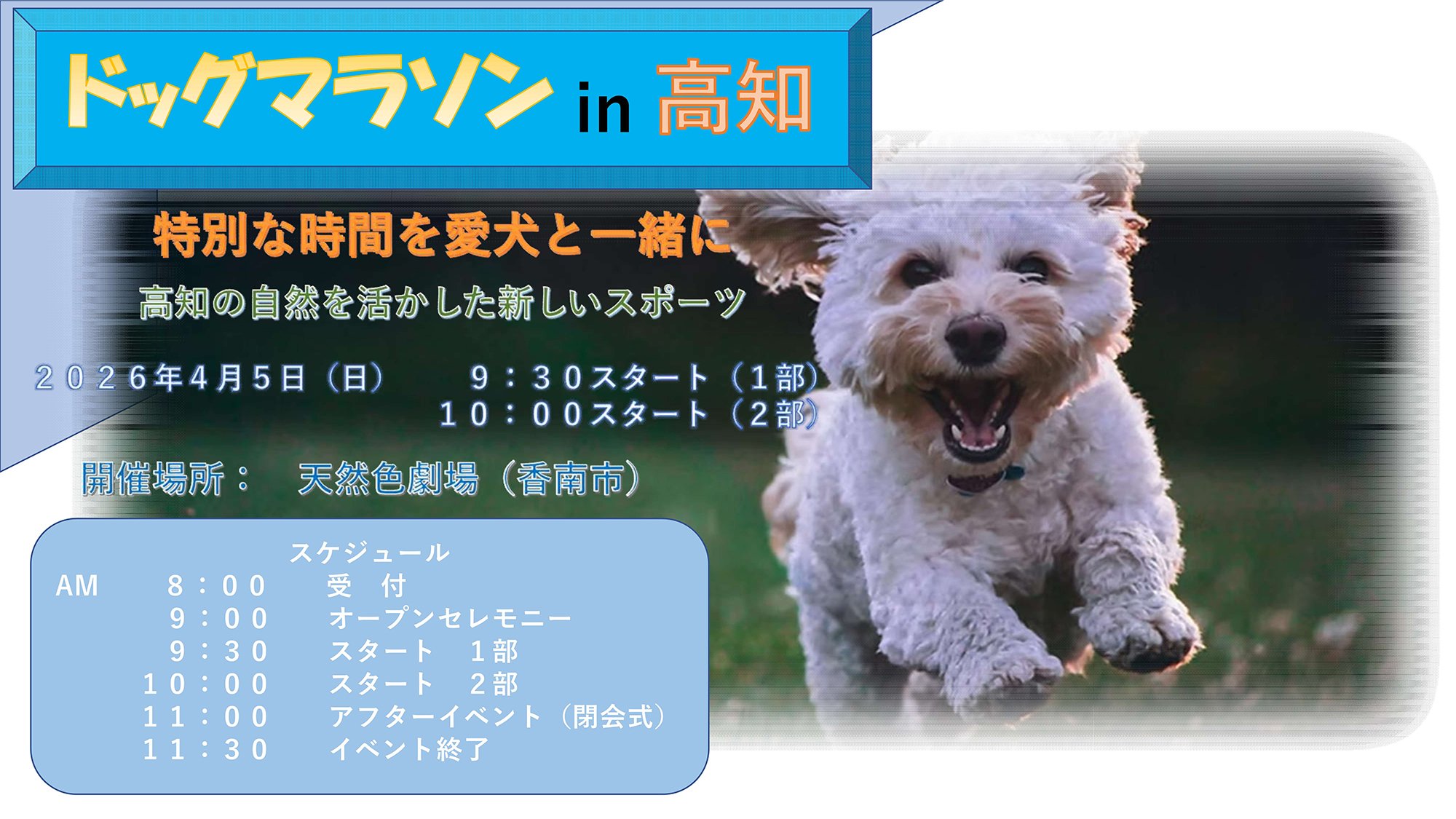 ドッグマラソンin高知