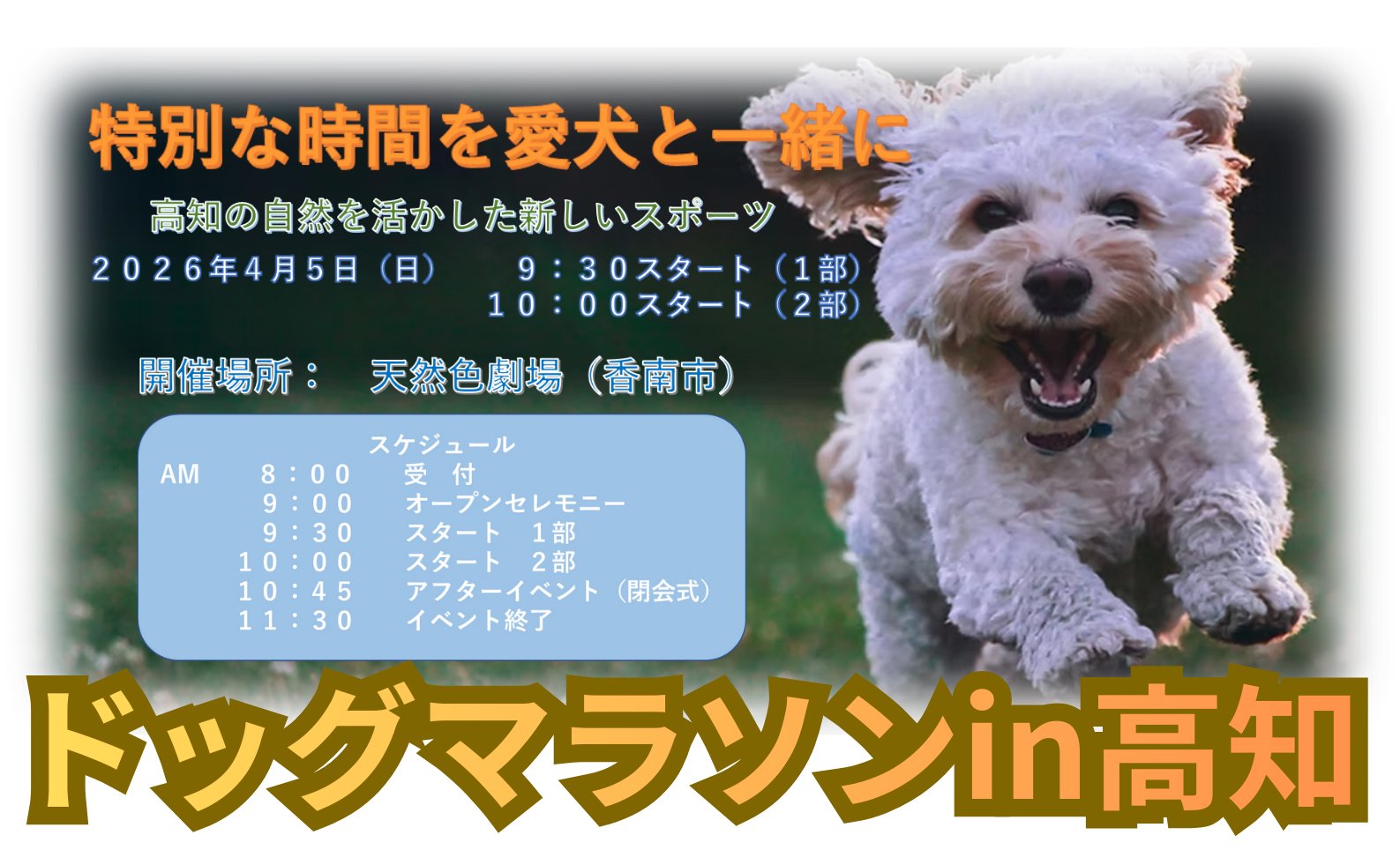 ドッグマラソンin高知